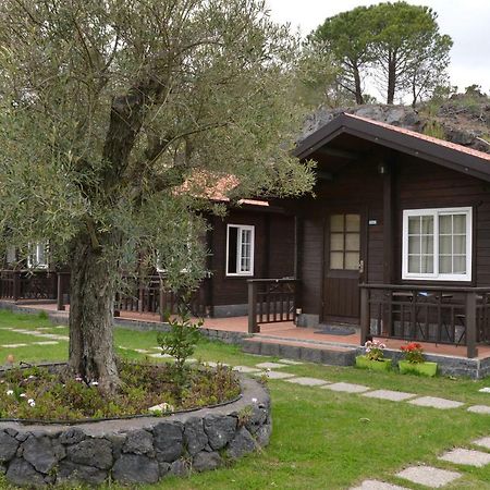 Etna Hut Bed and Breakfast Nicolosi Exteriör bild