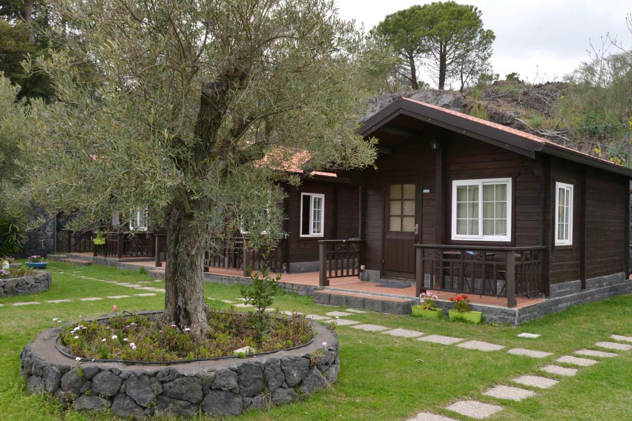 Etna Hut Bed and Breakfast Nicolosi Exteriör bild